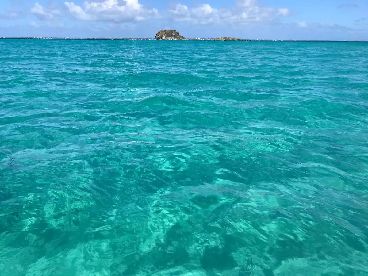 Διαμέρισμα Reves De Tropiques - Grands Studios Avec Piscine Vue Ocean Acces Plage Direct Cul de Sac