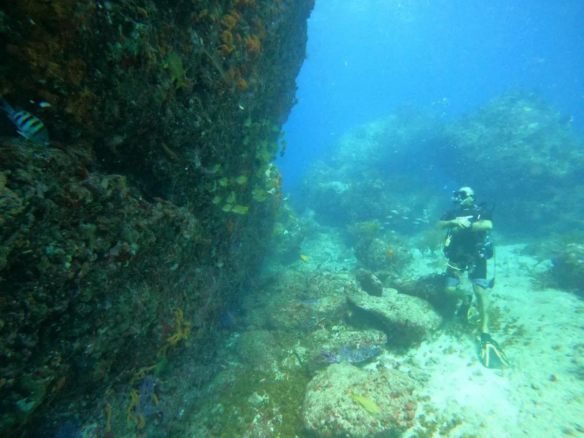 Διαμέρισμα Reves De Tropiques - Grands Studios Avec Piscine Vue Ocean Acces Plage Direct Cul de Sac